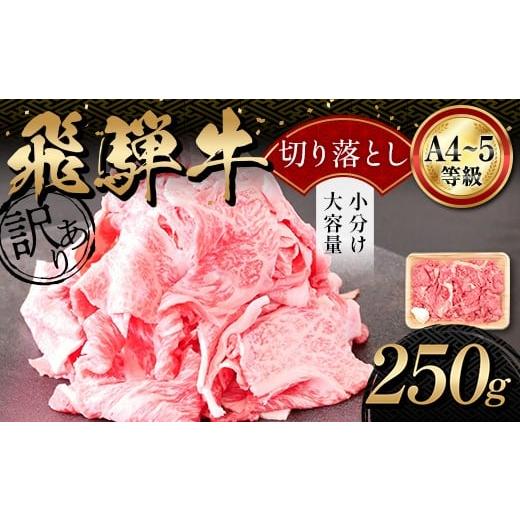 ふるさと納税 牛肉 焼肉・バーベキュー 岐阜県 坂祝町 A4等級以上 飛騨牛 焼肉 切り落とし 250g 牛肉 ブランド牛 肉 切落し わけあり ぎゅうにく にく ひだぎ…
