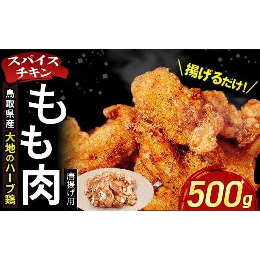 ふるさと納税 鶏肉 モモ 鳥取県 倉吉市 鳥取県産 大地のハーブ鶏 スパイスチキン 唐揚げ 500g KC231 もも肉 一口カット 鶏肉 チキン 鳥取県 倉吉市 唐揚げ用 …