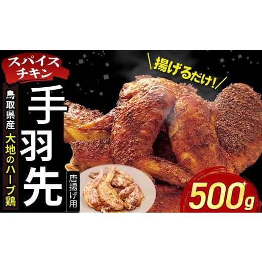 ふるさと納税 鶏肉 手羽 鳥取県 倉吉市 鳥取県産 大地のハーブ鶏 スパイスチキン 手羽先 (チューリップ ) 1本ずつ 500g KC233 手羽先 唐揚げ 鶏肉 チキン 鳥…