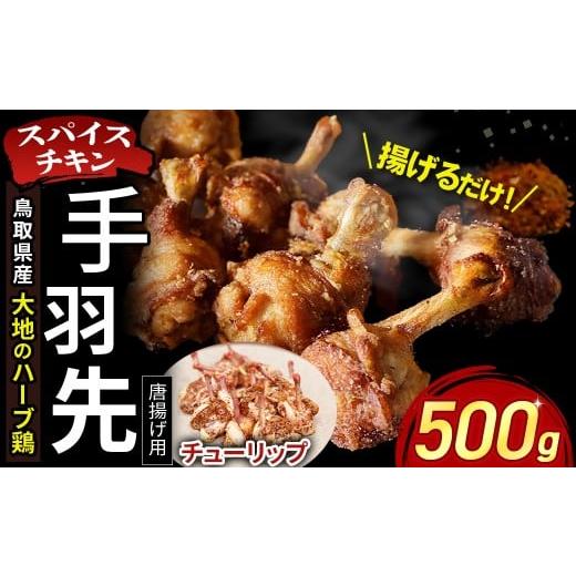 ふるさと納税 鶏肉 手羽 鳥取県 倉吉市 鳥取県産 大地のハーブ鶏 スパイスチキン 手羽先 (チューリップ ) 1本ずつ 500g KC234 手羽先 唐揚げ 鶏肉 チキン 鳥…