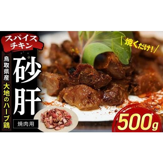 ふるさと納税 鶏肉 砂肝 鳥取県 倉吉市 鳥取県産 大地のハーブ鶏 スパイスチキン 焼肉 500g KC236 砂肝 一口カット 鶏肉 チキン 鳥取県 倉吉市 焼肉用 砂肝
