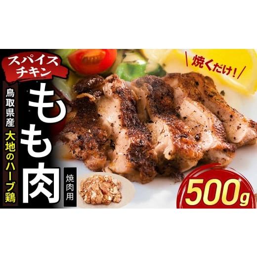 ふるさと納税 鶏肉 モモ 鳥取県 倉吉市 鳥取県産 大地のハーブ鶏 スパイスチキン 焼肉 500g KC235 もも肉 一口カット 鶏肉 チキン 鳥取県 倉吉市 焼肉用 もも…