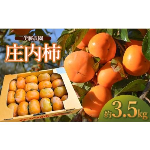 ふるさと納税 柿・栗 山形県 鶴岡市 令和8年産先行予約 庄内柿 約3.5kg 山形県鶴岡市 伊藤農園