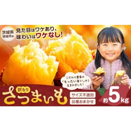 ふるさと納税 野菜類 サツマイモ 茨城県 結城市 さつまいも 茨城県産 こだわり農家の訳ありさつまいも 約5kg 茨城県結城市産 サイズ不選別 品種おまかせ [1月…