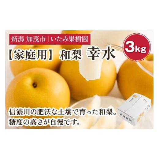 ふるさと納税 梨 新潟県 加茂市 2026年先行予約 家庭用 新潟県産 幸水梨 3kg(7〜11玉)[8月上旬以降発送] 和梨 なし ナシ 果物 こうすい フルーツ 新潟県…
