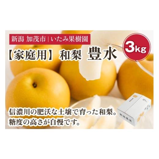 ふるさと納税 梨 新潟県 加茂市 2026年先行予約 家庭用 新潟県産 豊水梨 3kg(7〜11玉)[9月上旬以降発送] 和梨 なし ナシ 果物 ほうすい フルーツ 新潟県…