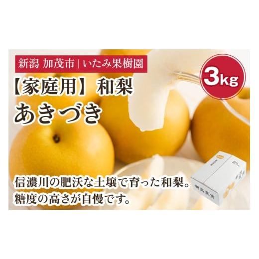ふるさと納税 梨 新潟県 加茂市 2026年先行予約 家庭用 新潟県産 あきづき梨 3kg(7〜11玉)[9月上旬以降発送] 和梨 なし ナシ 果物 フルーツ 新潟県産 加…