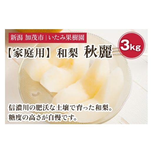 ふるさと納税 梨 新潟県 加茂市 2026年先行予約 家庭用 新潟県産 秋麗梨 3kg(7〜11玉)[8月中旬以降発送] 和梨 なし ナシ 果物 しゅうれい フルーツ 新潟…