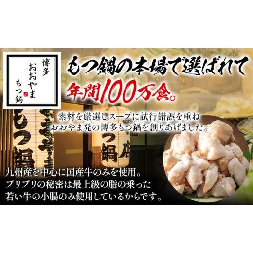 ふるさと納税 モツ鍋 福岡県 田川市 鍋大容量定期便 隔月定期便（年3回発送） 水炊き モツ鍋 もつ鍋セット モツ鍋セット ありた鶏 もつなべ 醤油 しょうゆ 味…_6