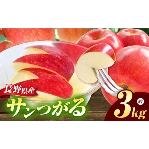 ふるさと納税 りんご 長野県 松川村 サンつがる 約3kg 2026年先行予約 | 浅野農園 リンゴ りんご 林檎 果物 くだもの フルーツ 果実 果汁サンつがる さんつが…
