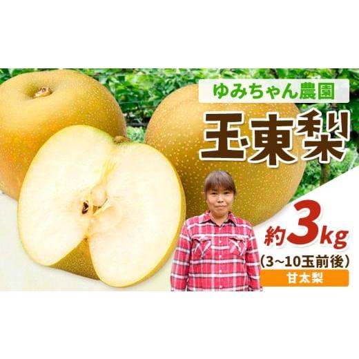 ふるさと納税 梨 熊本県 玉東町 『ゆみちゃん農園』の玉東梨 甘太梨 約3kg 3〜10玉前後[2026年8月下旬-10月上旬頃出荷]熊本県玉名郡玉東町 梨 なし 果物 フ…