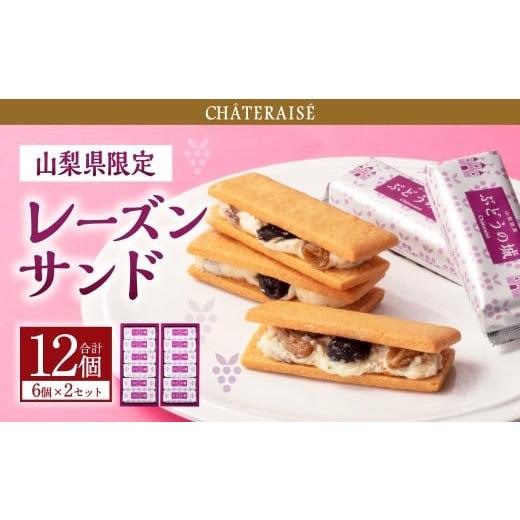 ふるさと納税 焼菓子・チョコレート 山梨県 中央市 シャトレーゼ 山梨県限定 レーズンサンド 6個×2セット 計12個 / スイーツ デザート お菓子 おかし おや…