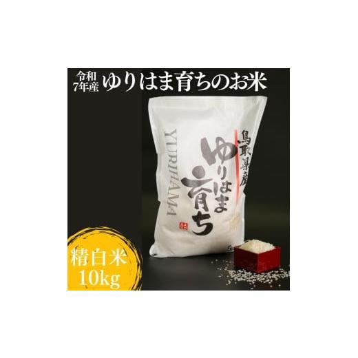 ふるさと納税 米 コシヒカリ 鳥取県 湯梨浜町 319KZ.ゆりはま育ちのお米 精白米10kg 令和7年産 コシヒカリ精米5kg×2袋(令和7年産)