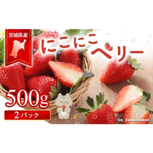 ふるさと納税 いちご 宮城県 丸森町 宮城県産いちご「にこにこベリー」 約500g(250g×2) | ふるさと納税 宮城県 丸森 いちご 苺 イチゴ ストロベリー フ…