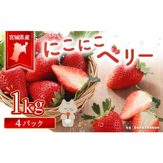 ふるさと納税 いちご 宮城県 丸森町 宮城県産いちご「にこにこベリー」約1kg(250g×4)| ふるさと納税 宮城県 丸森 いちご 苺 イチゴ ストロベリー フルーツ…