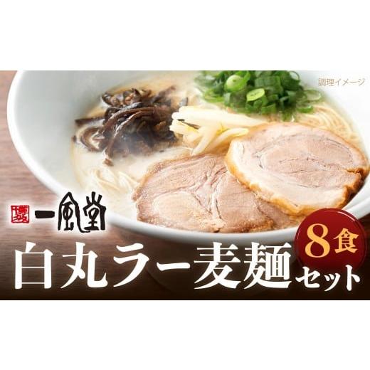 ふるさと納税 ラーメン とんこつ 福岡県 北九州市 一風堂 白丸 ラー麦麺セット 8食分 スープ付き ラーメン 拉麺 ラー麦 細麺 豚骨ラーメン とんこつラーメン …