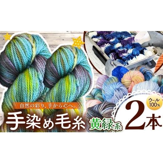 ふるさと納税 手芸 長野県 松川村 ウール100% 手染め毛糸(太) 2本 黄緑系 | 毛糸 ウール ウール100% 手染め 裁縫 手芸 長野県 松川村 信州 2本 黄緑系|…