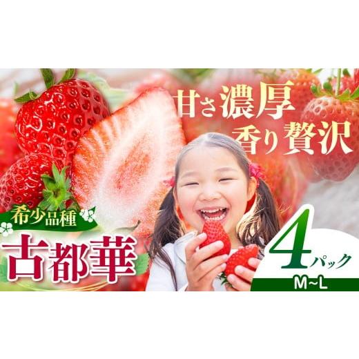 ふるさと納税 いちご 奈良県 平群町 4月発送 M〜Lサイズ 計4パック | 先行予約 お得 フルーツ 果物 くだもの ブランド いちご 苺 古都華 ことか 甘い 大人気 …