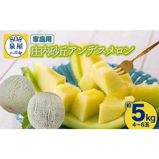 ふるさと納税 メロン メロン青肉 山形県 鶴岡市 令和8年産先行予約 家庭用 泉屋商店の庄内砂丘アンデスメロン 約5kg(4〜6玉入) K-830
