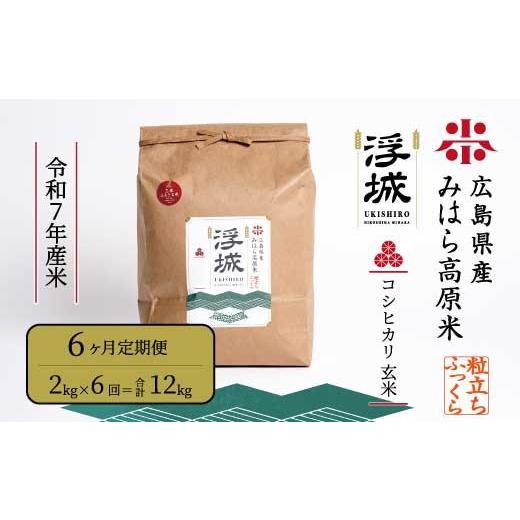 ふるさと納税 米 コシヒカリ 広島県 三原市 [令和7年] 6か月定期便 みはら高原米 浮城 〜 こしひかり 〜 玄米 2kg コシヒカリ お米 米 精米 ごはん ご飯 広…