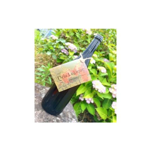 ふるさと納税 ワイン 山形県 上山市 2024 Dela Logique（オレンジワイン）７５０ｍｌ　0160-2503_1