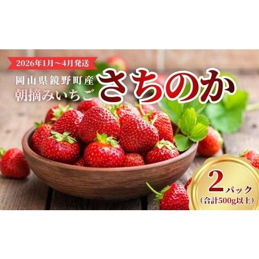 ふるさと納税 いちご 岡山県 鏡野町 鏡野町産 朝摘みいちご「さちのか」2パック(合計500g) 2026年1月〜4月発送 029-a014 2パック(合計500g)