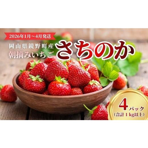 ふるさと納税 いちご 岡山県 鏡野町 鏡野町産 朝摘みいちご「さちのか」4パック(合計1kg) 2026年1月〜4月発送 029-a015 4パック(合計1kg)