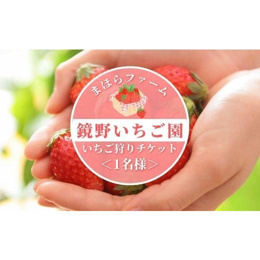 ふるさと納税 いちご 岡山県 鏡野町 鏡野町まほらファーム いちご狩りご招待券(1名様) 2026年2月〜5月 029-a016