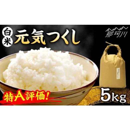 ふるさと納税 米 福岡県 那珂川市 特A評価 元気つくし 白米 5kg 株式会社ベネフィス 那珂川市