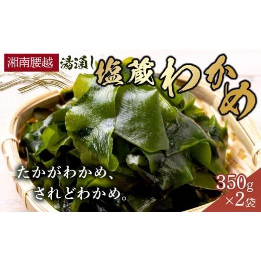 ふるさと納税 のり・海藻 わかめ 神奈川県 鎌倉市 湘南腰越名産 湯通し「塩蔵わかめ」350g×2袋