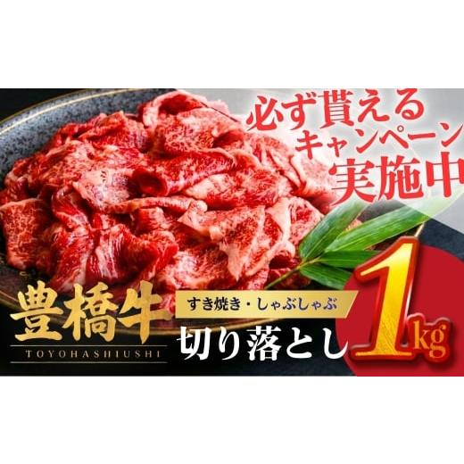ふるさと納税 牛肉 すき焼き 愛知県 豊橋市 6月お届け 豊橋牛 切り落とし 1kg | 牛肉 肉 国産牛 肉 焼肉 すき焼き 不揃い 冷凍 6月発送