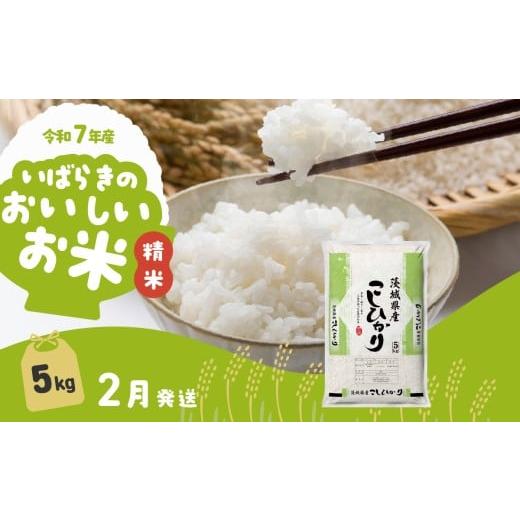 コシヒカリ 5kg×2 茨城県産 精米 ふるさと納税 米 コシヒカリ 茨城県 下妻市 2月発送 令和7年産 5kg