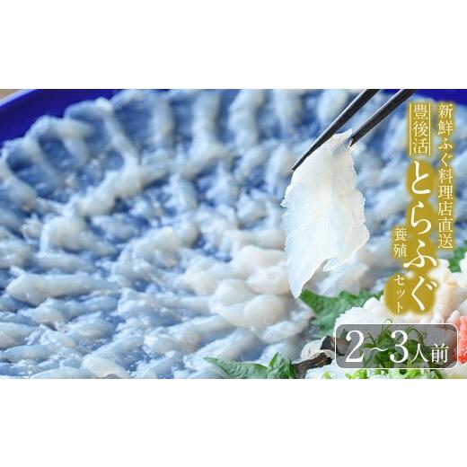 ふるさと納税 フグ 大分県 佐伯市 着日指定必須 新鮮ふぐ料理店直送 「豊後活とらふぐ 刺身セット 養殖2-3人前」とらふぐ ふぐ フグ ふぐ刺し フグ刺し ふぐ…