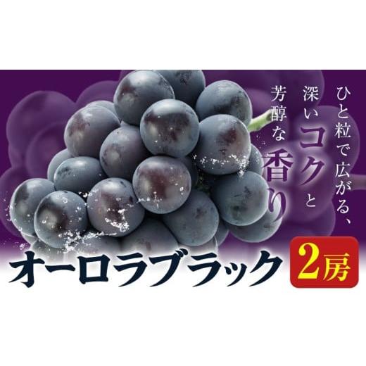 ふるさと納税 果物類 ぶどう 岡山県 笠岡市 オーロラブラック 2房入り[9月上旬-9月中旬頃出荷]岡山県 笠岡市 石丸葡萄農園 葡萄 ぶどう フルーツ 果物