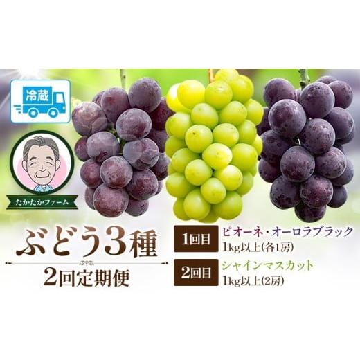 ふるさと納税 ぶどう マスカット 岡山県 笠岡市 ぶどう ピオーネ オーロラブラック シャインマスカット ぶどう3種 定期便 2回 お届け 定期便 計4房 計2kg 以上…