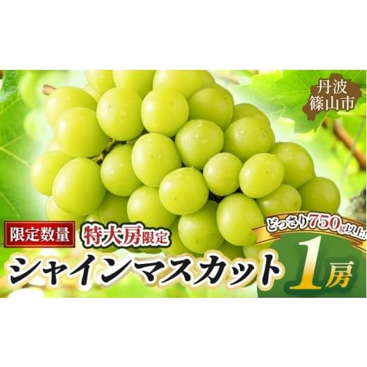 ふるさと納税 ぶどう マスカット 兵庫県 丹波篠山市 早期予約・数量限定 丹波篠山産 大粒だけ シャインマスカット [1房・750g以上] マスカット 農家直送 …