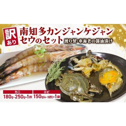 ふるさと納税 エビ・カニ等 エビ 愛知県 南知多町 訳あり 南知多カンジャンケジャン カンジャンセウ セット カンジャンケジャン:180~250g×1匹 カンジャンセウ…