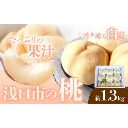 ふるさと納税 もも 岡山県 浅口市 2026年先行予約 浅口市産 白桃 約1.3kg(5〜6玉) SUEHIRO農園[2026年6月下旬-8月下旬頃出荷]岡山県 浅口市 フルーツ モモ …