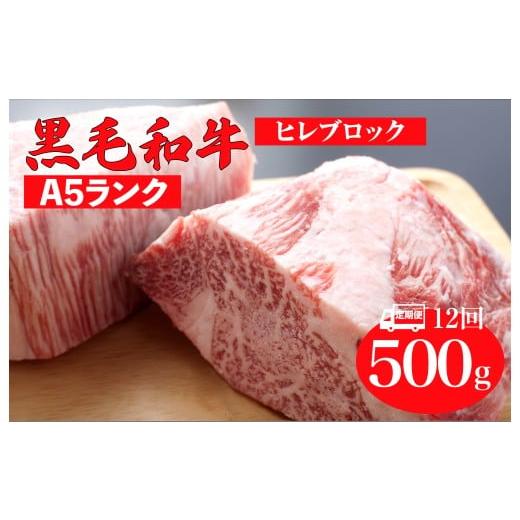 ふるさと納税 牛肉 ヒレ 奈良県 河合町 全12回定期便 黒毛和牛 A5ランク ヒレ ブロック 500g ソース付 和牛 冷蔵 冷蔵便 ブロック肉 牛肉 ヒレ肉 ヒレステー…