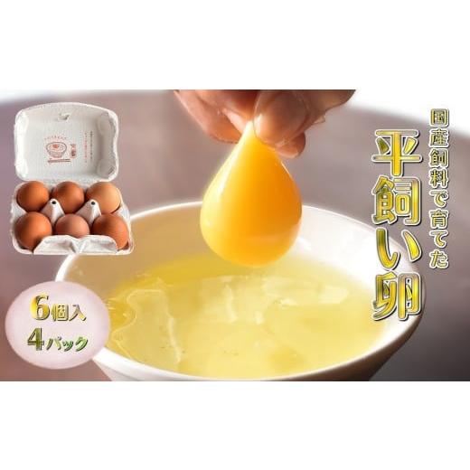 ふるさと納税 卵(鶏、烏骨鶏等) 千葉県 白井市 平飼い卵 新鮮たまご 6個入り 4パック 産卵後2日以内に発送 養鶏場直送 4パック