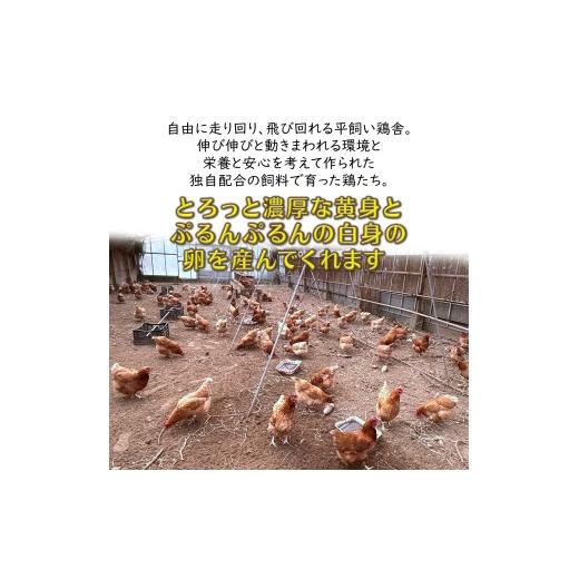 ふるさと納税 卵（鶏、烏骨鶏等） 千葉県 白井市 平飼い卵 新鮮たまご 6個入り 12パック 産卵後2日以内に発送 養鶏場直送 12パック