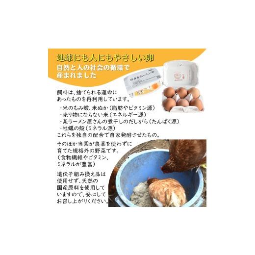 ふるさと納税 卵（鶏、烏骨鶏等） 千葉県 白井市 平飼い卵 新鮮たまご 6個入り 12パック 産卵後2日以内に発送 養鶏場直送 12パック