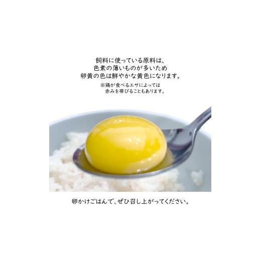 ふるさと納税 卵（鶏、烏骨鶏等） 千葉県 白井市 平飼い卵 新鮮たまご 6個入り 12パック 産卵後2日以内に発送 養鶏場直送 12パック