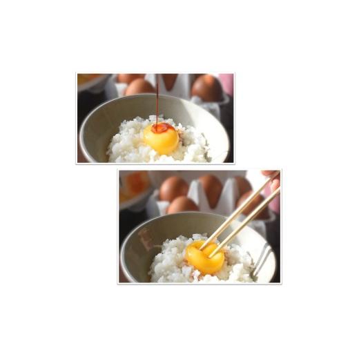 ふるさと納税 卵（鶏、烏骨鶏等） 千葉県 白井市 平飼い卵 新鮮たまご 6個入り 12パック 産卵後2日以内に発送 養鶏場直送 12パック