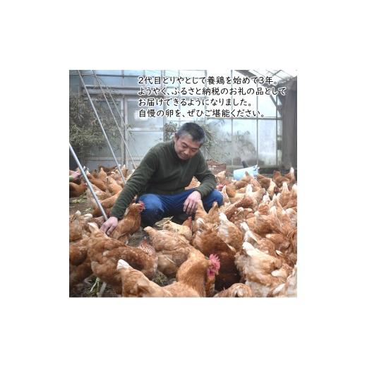 ふるさと納税 卵（鶏、烏骨鶏等） 千葉県 白井市 平飼い卵 新鮮たまご 6個入り 12パック 産卵後2日以内に発送 養鶏場直送 12パック