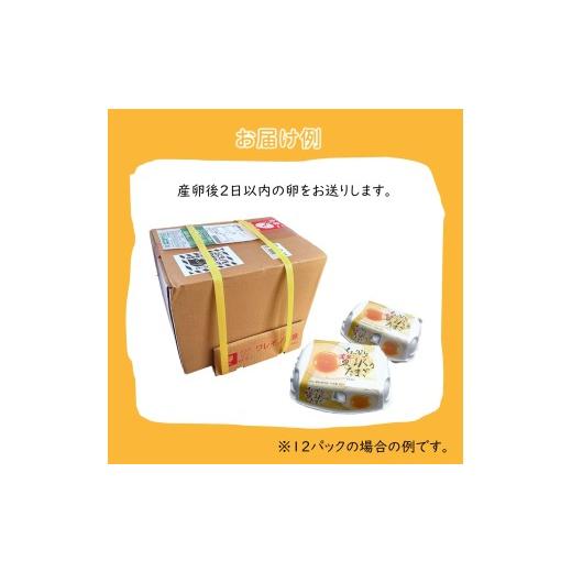 ふるさと納税 卵（鶏、烏骨鶏等） 千葉県 白井市 平飼い卵 新鮮たまご 6個入り 12パック 産卵後2日以内に発送 養鶏場直送 12パック