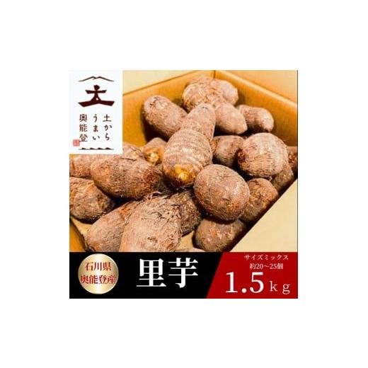 ふるさと納税 野菜類 石川県 能登町 能登町産 里芋1.5kg 期間限定