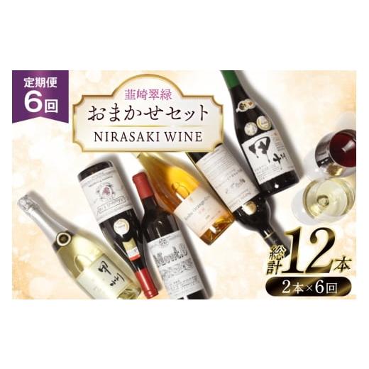ふるさと納税 ワイン セット 山梨県 韮崎市 ワイン 山梨 韮崎市産ワイン おまかせ 2本セット 6回 定期便 韮崎翠緑 山梨県 韮崎市 20745342 赤ワイン …