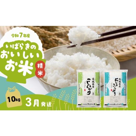ふるさと納税 米 コシヒカリ 茨城県 下妻市 3月発送 令和7年産 食べ
