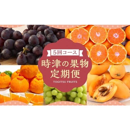 ふるさと納税 ぶどう 巨峰 長崎県 時津町 定期便5回コース 時津の果物定期便 みかんとぶどうの町から贈る 特産品の定期便 シャインマスカット 巨峰 みかん 不…